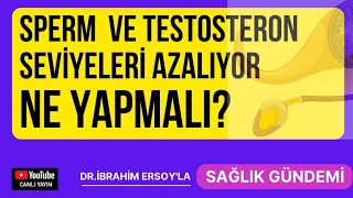 Testosteron ve sperm sayısını nasıl artırabiliriz?