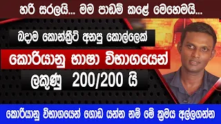 හරි සරලයි ලකුණු 200 න් 200යි | korean exam tips | කොරියානු භාෂා විභාගය 2023 |Sinhala