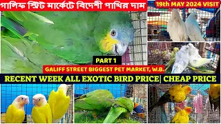 Recent Week All Exotic Bird Price Update |গালিফ স্ট্রিট বার্ড মার্কেটে বিদেশী পাখির দাম | 19/05/24