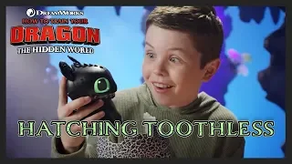 How To Train Your Dragon Hatching Toothless – 30