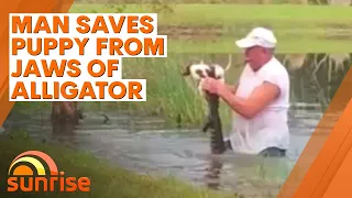 Florida man saves his puppy from the jaws of an alligator | 7NEWS
