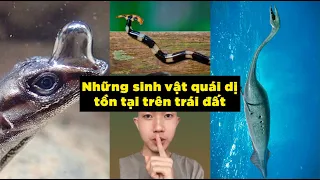 Sinh vật lạ lùng bạn không muốn chúng tồn tại | Sự thật lạ lùng bạn chưa bao giờ biết