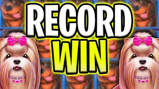 MY BIGGEST RECORD WIN EVER 🤑 FOR THE DOG HOUSE MEGAWAYS SLOT 🐶 OMG MUST SEE‼️