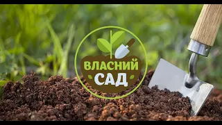 🌱 Які цибулинні рослини можна зараз посадити в саду | Власний сад 20 Серія | 6cоток