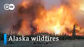 Record-breaking wildfires in Alaska burn more than 3 million acres | DW News