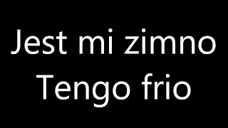 Aprender Polaco: 100 Frases En Polaco Para Principiantes