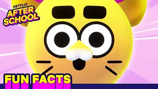🤯 Mind-Blowing Battle Kitty Facts YOU Should Know! 🎀🐱 | Battle Kitty