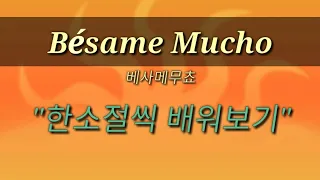 #팝송배우기 - Bésame Mucho(베사메무쵸)- 전곡 듣고 배우기