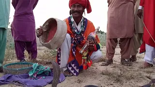 Desert of Tharparkar Jogi caught a black snake nagina#nagindance #nagin_dance_video#sanpseed