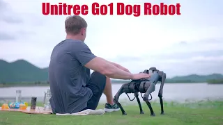 Unitree Go1 Robot | Unitree Dog Robot