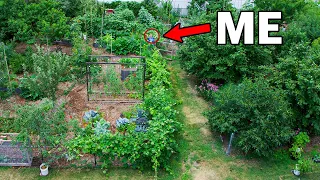 10 Years Later, From Normal Backyard To Permaculture Garden (Unseen Footage)