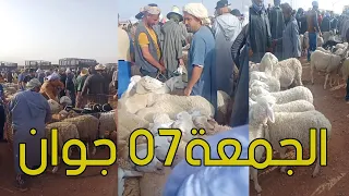 سوق الغنم والمواشي الاسعار ولاية النعامة عيد الأضحى 07 جوان 2024