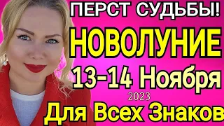 Перст СУДЬБЫ🔴НОВОЛУНИЕ 13 НОЯБРЯ 2023 в СКОРПИОНЕ/Растущая Луна с 13 -27.11.2023 от OLGA STELLA