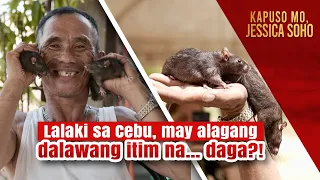 Lalaki sa Cebu, may alagang dalawang itim na daga?! | Kapuso Mo, Jessica Soho