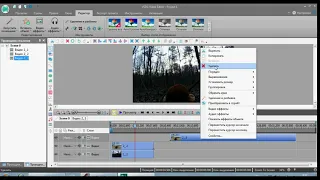 Как сделать картинку в картинке в VS DC Free Video Editor