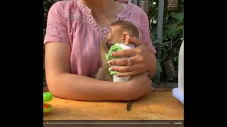 So Sweet Monkey TORO Terrified By Dogs Hug Mom