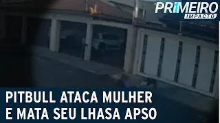 Pitbull ataca mulher e mata cachorro no interior de São Paulo | Primeiro Impacto (22/04/21)