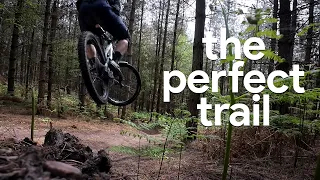 Is this the best mountain bike trail - mtb meditation