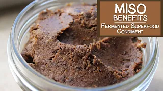 Miso Benefits, A Fermented Superfood Condiment