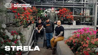 Strela | Audiotree Worldwide