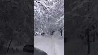 😯 Волшебная дорога на Ай-Петри❄️✨⠀Если любишь Крым подпишись 👍