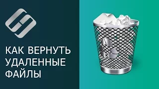 Восстановление файлов после очистки Корзины Windows или удаленных с помощью «Shift» + «Del» 📁🔥⚕️