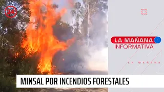 Minsal por incendios forestales: "Hemos tenido más de 3 mil atenciones de urgencia"