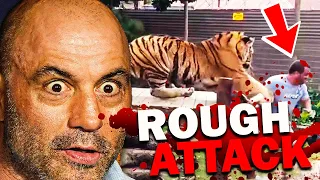 The Most INSANE Animal Attacks l Joe Rogan