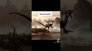 What extinct animals sound like 🦖 🦖
