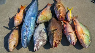 SECRET Spot CAUGHT Them All! Catch Clean Cook (Florida Keys)