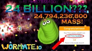 WORMATE.IO NEW WORLD RECORD! | 24,794,236,800 MASS | 24 BILLION MASS IN WORMATE.IO!