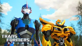 Transformers: Prime | Arcee y Bumblebee | COMPILACIÓN | Animación | Transformers en español