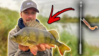 DROPSHOT Guide - Effective Rig in Perch Fishing