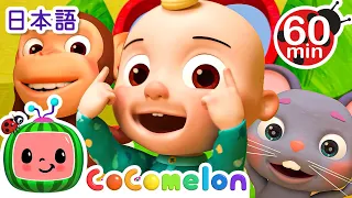 あたま　かた　ひざ　つまさき ・ココメロン 日本語 - 幼児向け歌とアニメ ・CoComelon 日本語吹替版