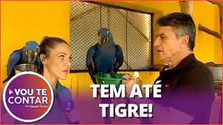 Zoológico em casa: Conheça a casa de Gilberto Miranda e seus animais exóticos