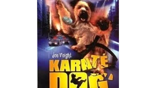 El Perro Karateka En Español Latino HD