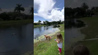 Little girl catches a big bass on a Barbie rod