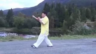 形意拳十二形拳12-shaped fist Xingyiquan- 黃連順 示例