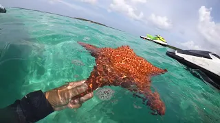 Cococay Jetski excursion   4K