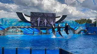 2021 NEW SHOW - Orca Encounter A Killer Whale Experience 🐳| SeaWorld Orlando - 4K