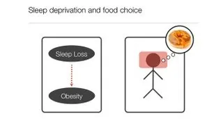 Sleep and Food Desire