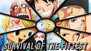 One Piece ▪ AMV/ASMV ▪ Survival Of The Fittest ▪ Straw Hat Pirates Tribute ▪ HD