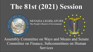 5/12/2021 - Assembly Ways and Means and Senate Finance, Subcommittees on Human Services