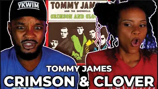 HOLD UP 🎵 Tommy James & The Shondells - Crimson and Clover REACTION