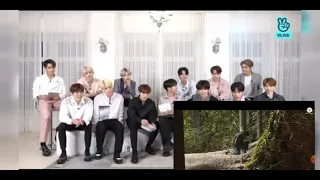 seventeen reaction to Bollywood song khoya hain