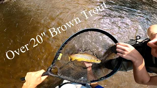 Catching My Biggest Brown Trout Ever! (Over 20 Inches) (Michigan’s Famous Rivers)