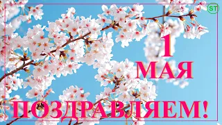 1 мая. Поздравление с 1 мая. Красивое позитивное видео поздравление с праздником 1 мая в стихах