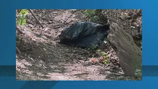 Woman finds dead black bear in plastic bag on Arlington walking trail
