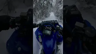 Grizzly 700 vs DEEP SNOW🥶 #shorts #deep #snow