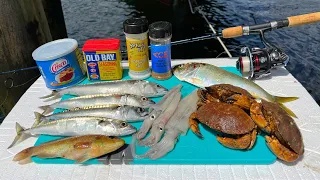 Eating Whatever We Catch in Maine - Squid, Crabs, Mackerel n' More!